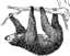 Luiaard-64x64.png